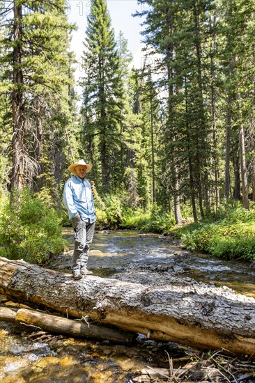 USA, Idaho, Sun Valley, Man standing on fallen tree over river in forest