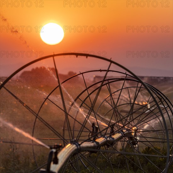 USA, Idaho, Bellevue, Irrigation wheel at sunset