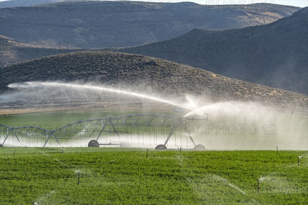 USA, Idaho, Bellevue, Center pivot irrigation system sprinkling water in field