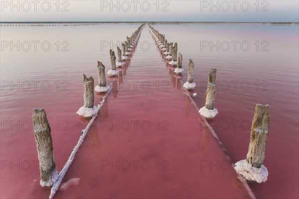 Ukraine, Crimea, Wooden posts in salt lake