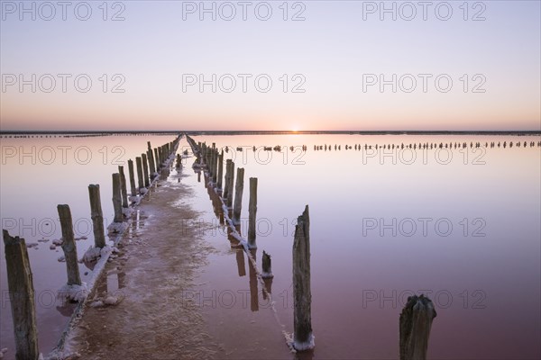 Ukraine, Crimea, Wooden posts in salt lake