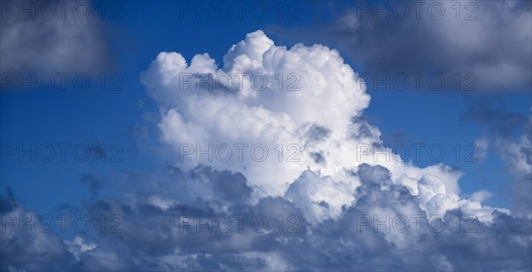 White cumulus clouds on blue sky