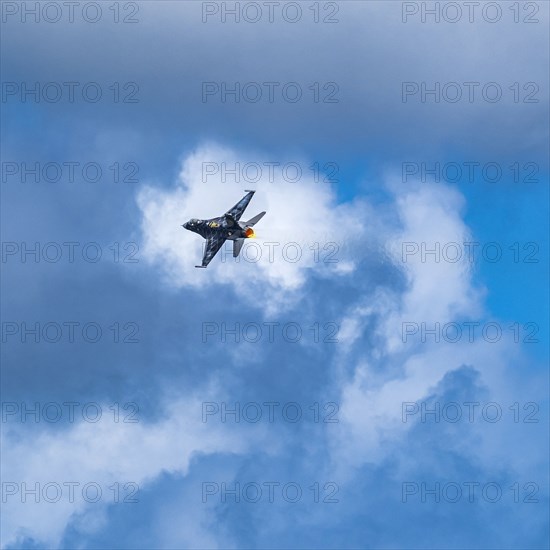 F-16 Fighting Falcon flying against sky