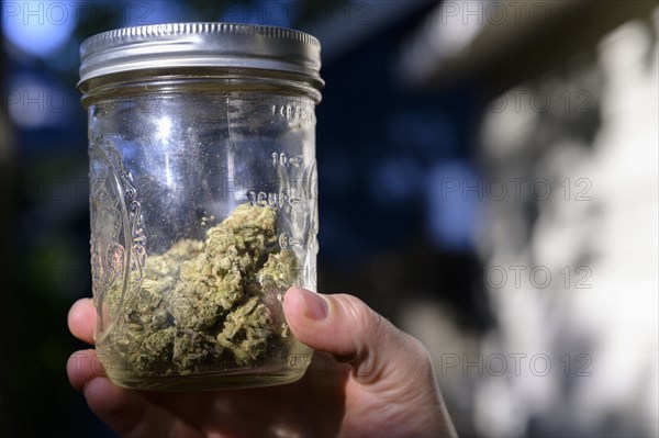 Close-up of mans hand holding jar with cannabis buds