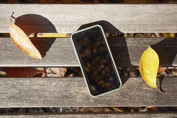 Smartphone on park bench