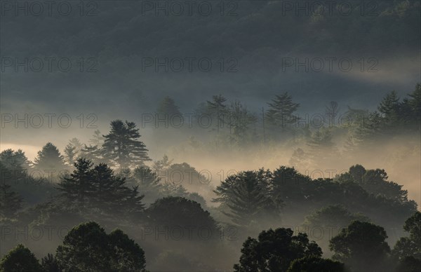 Fog at sunrise in Blue Ridge Mountains