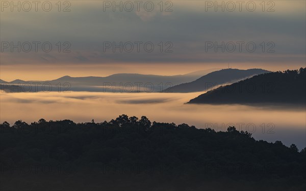 Fog at sunrise in Blue Ridge Mountains