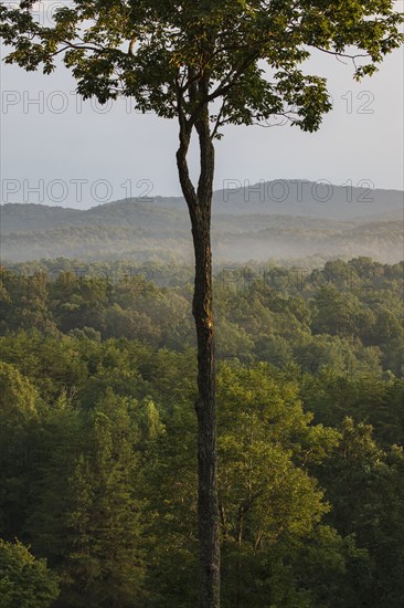 Fog in Blue Ridge Mountains