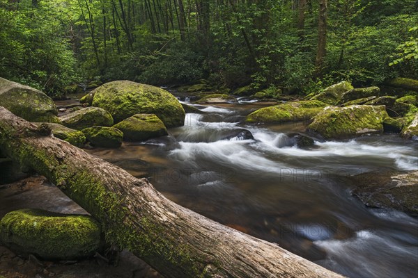 Chester Creek in Blue Ridge Mountains