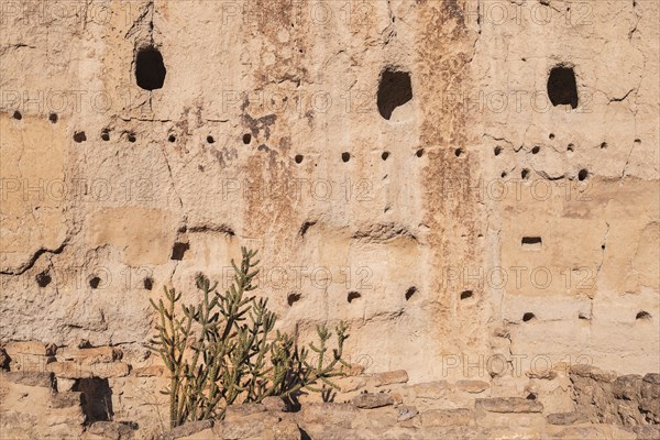 Cliff dwellings in Bandelier National Monument