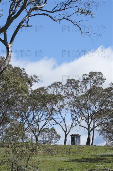 Hut among trees under blue sky