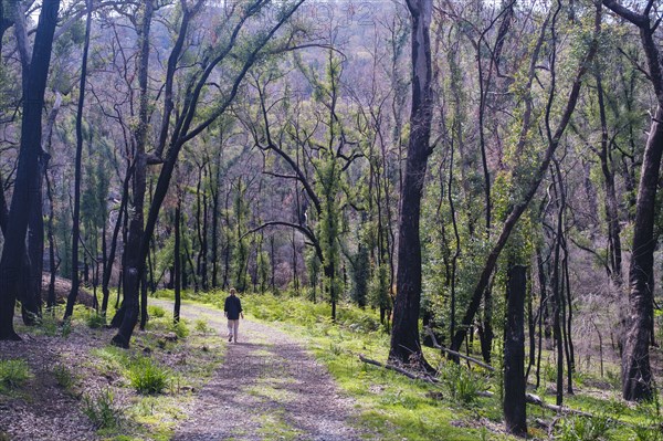 Woman hiking around Ganguddy-Dunns Swamp