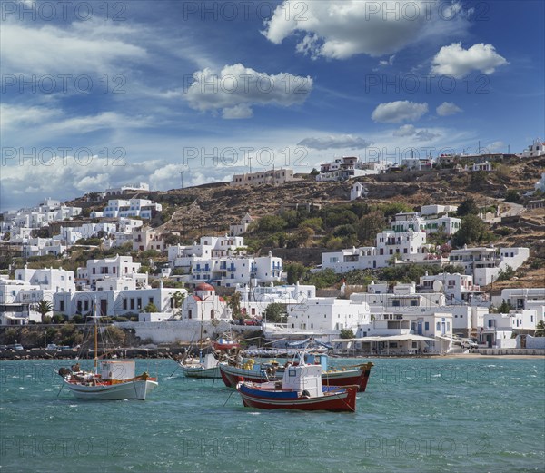 Fishing boats and town on coast