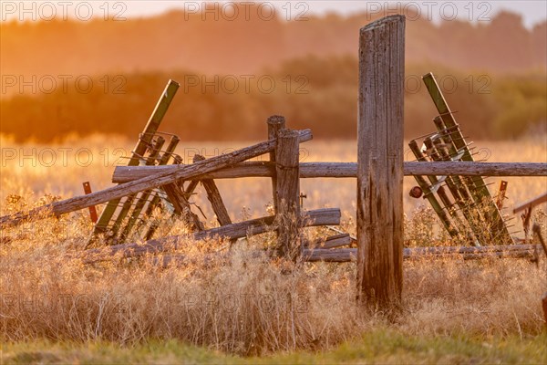 Damaged wooden fence