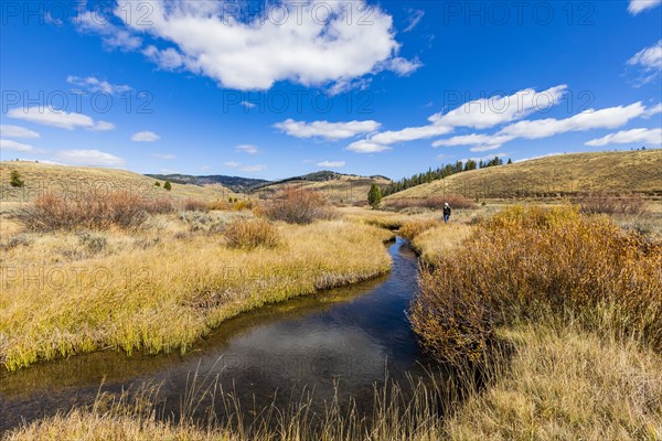 Senior woman walking by stream among grass in non urban landscape