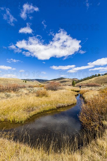 Senior woman walking by stream among grass in non urban landscape