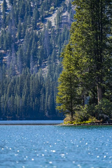 Alpine lake and trees in Sawtooth Range