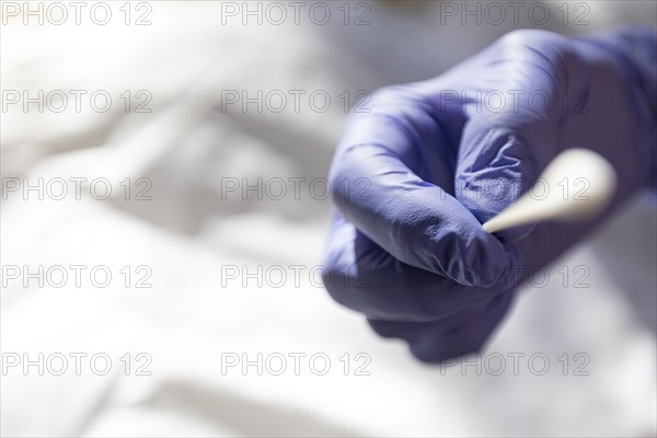 Close up of gloved hand holding sterile swab for Covid -19 testing