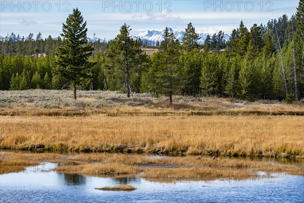 Winter frost in fall landscape in Yellowstone National Park