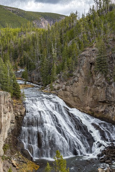 Gibbon Falls on the Gibbon River in Yellowstone National Park