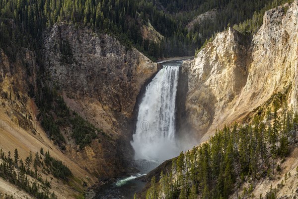 Lower Yellowstone Falls in Grand Canyon of Yellowstone National Park