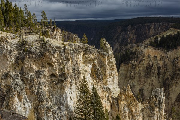 Cliffs of Grand Canyon in Yellowstone National Park