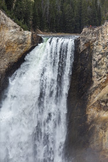 Lower Yellowstone Falls in Grand Canyon of Yellowstone National Park
