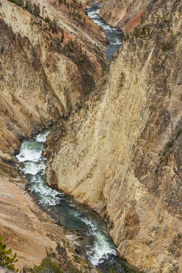 Yellowstone River flowing through Grand Canyon in Yellowstone National Park