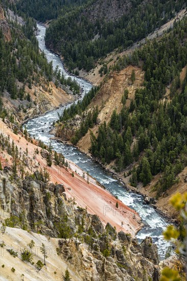 Yellowstone River flowing through Grand Canyon in Yellowstone National Park