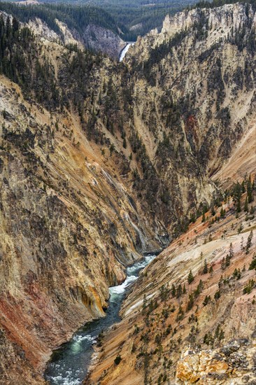 Yellowstone River flowing through Grand Canyon in Yellowstone National Park