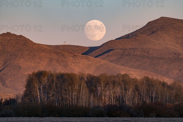 Full moon rising over mountains at dusk