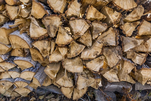 Stack of firewood