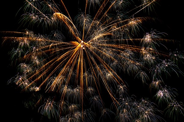 Fireworks on night sky