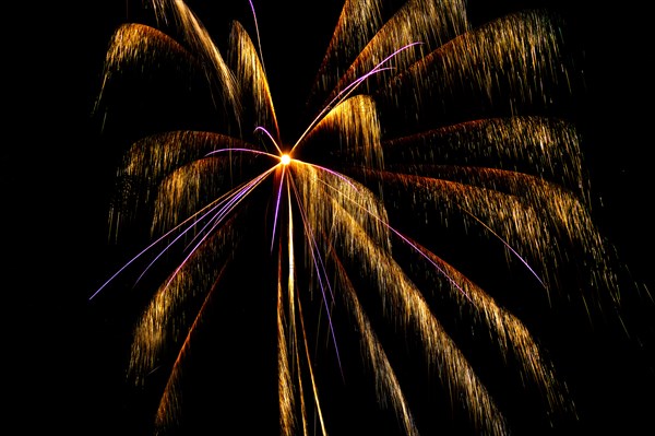 Fireworks on night sky