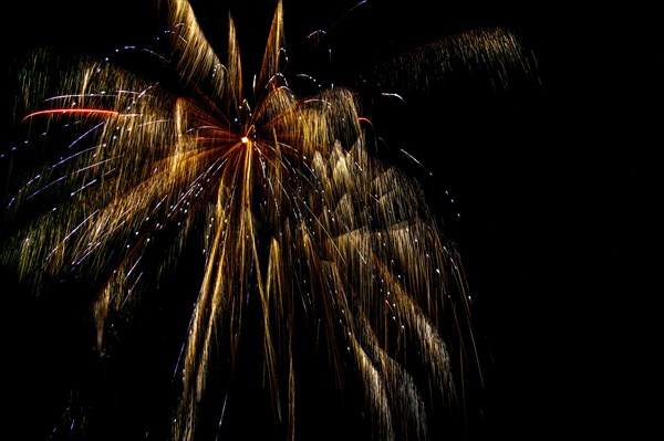 Fireworks on night sky