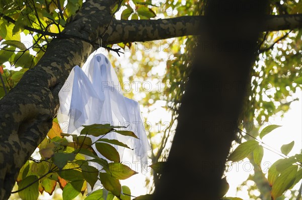 Ghost decoration in tree