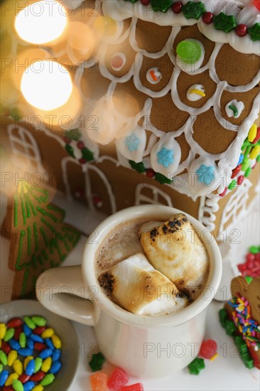 Gingerbread house cake