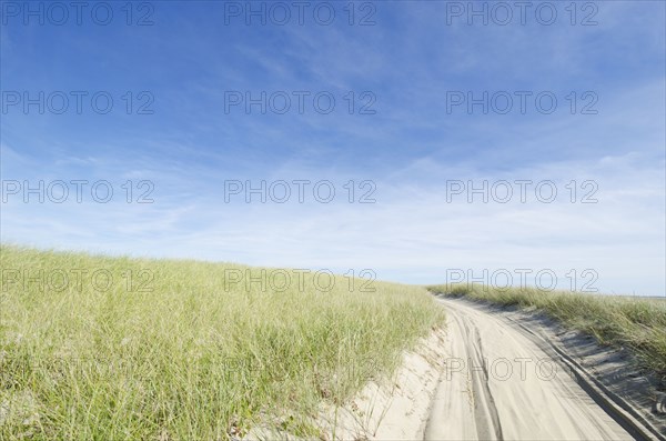 Coskata-Coatue Wildlife Refuge