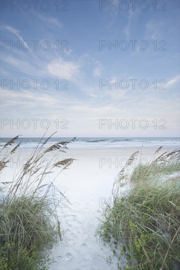 Path leading towards beach