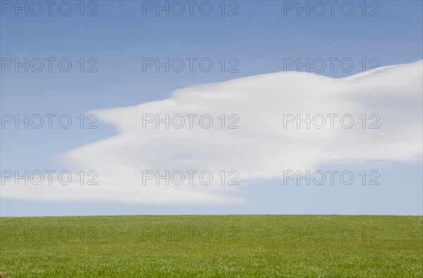 Green plain and sky