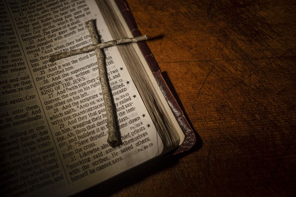 Tree twigs forming cross on old open bible