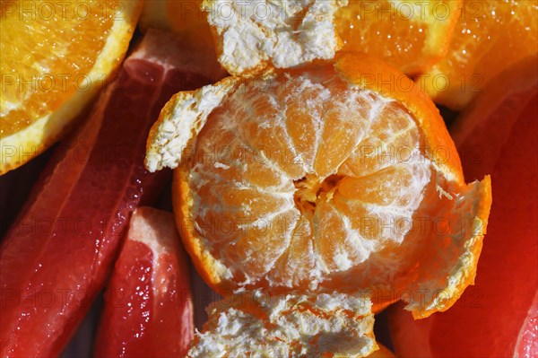 Close-up of clementine and grapefruit