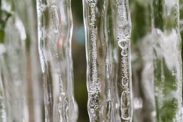 Close-up of icicles on plant