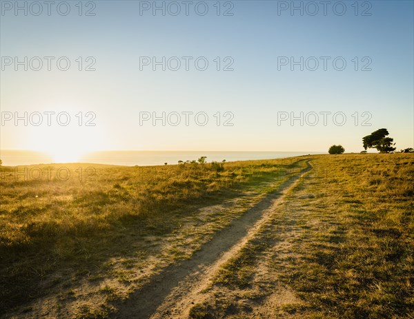 Grassy field and blue sky at sunset