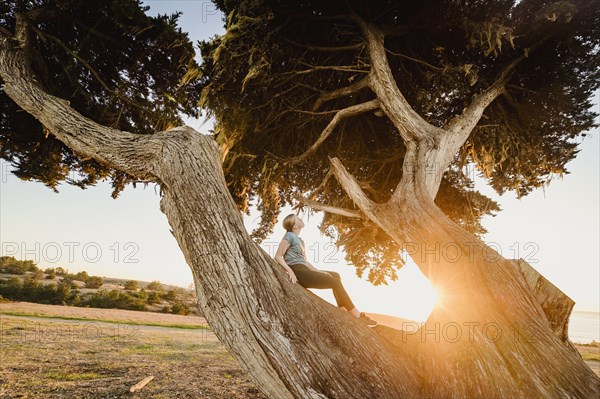 Girl sitting on tree in landscape at sunset