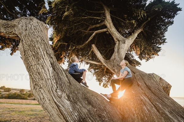 Boy and girl sitting on tree in landscape at sunset