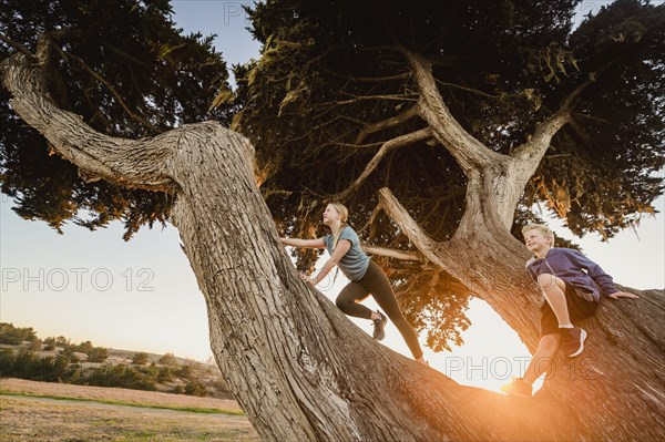 Boy and girl sitting on tree in landscape at sunset