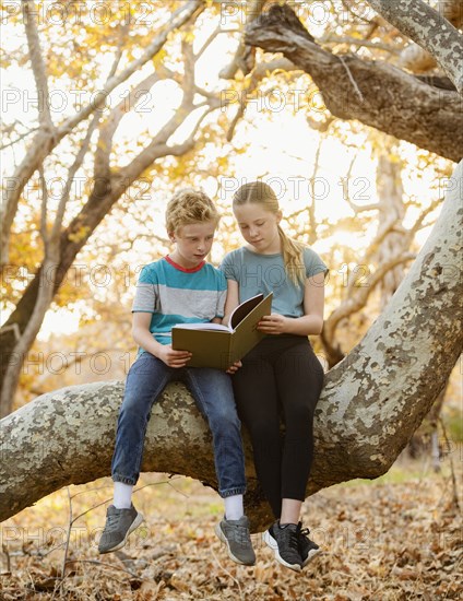 Boy and girl sitting on tree branch and reading book