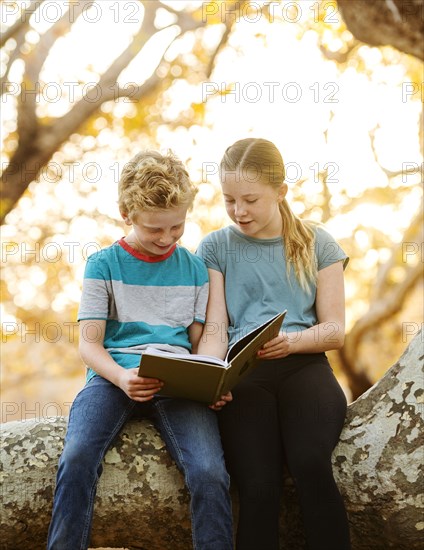 Boy and girl sitting on tree branch and reading book