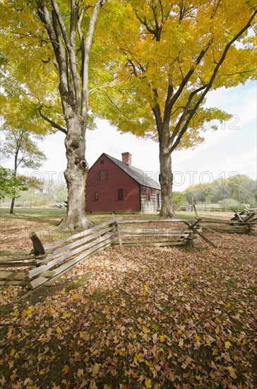 Jockey Hollow and trees in Autumn